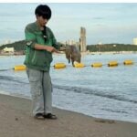 100,000 jellyfish stingers swarm Pattaya Beach in freak invasion | Thaiger