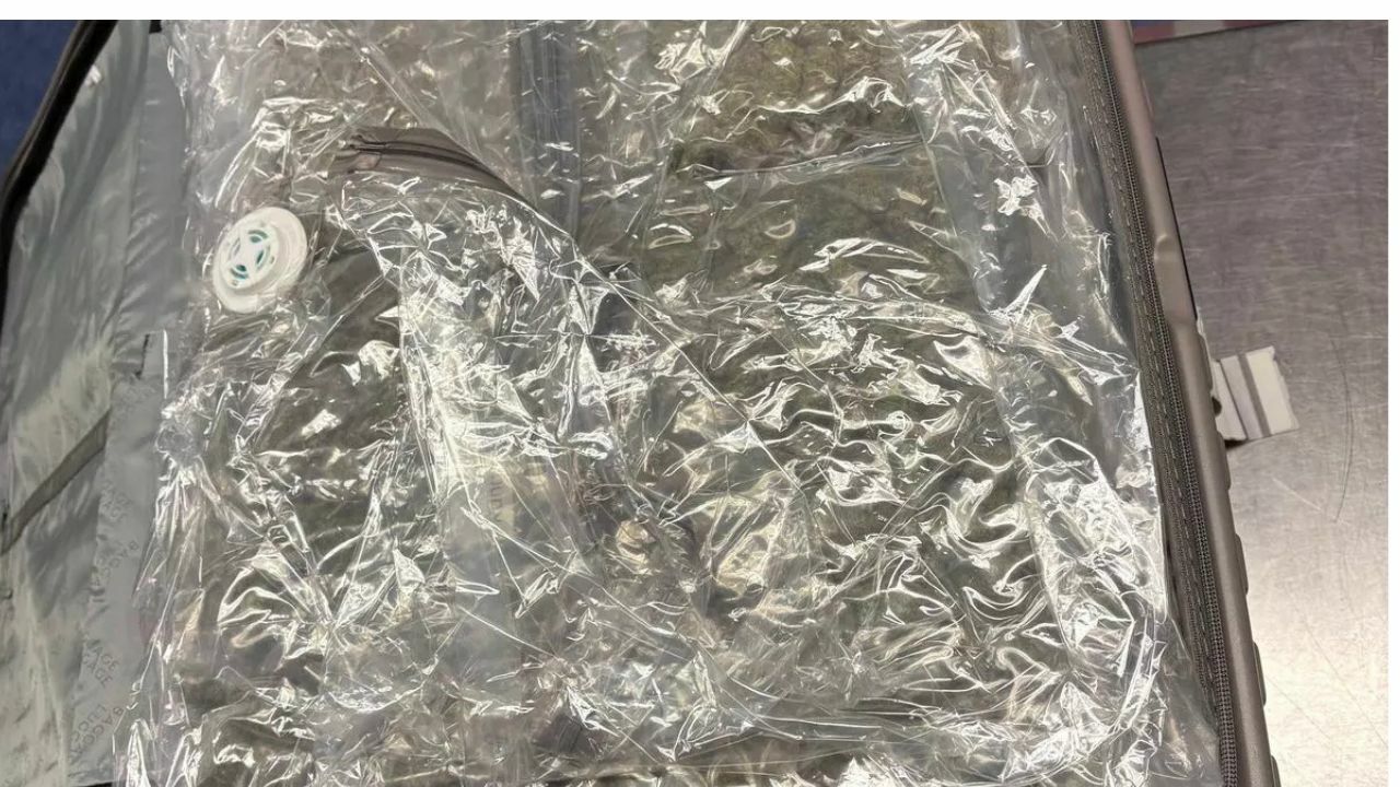 Baggage claim! Irish drug mule jailed after 22.5m baht stash found | News by Thaiger