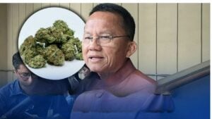 High and dry: Health minister’s war on cannabis shops