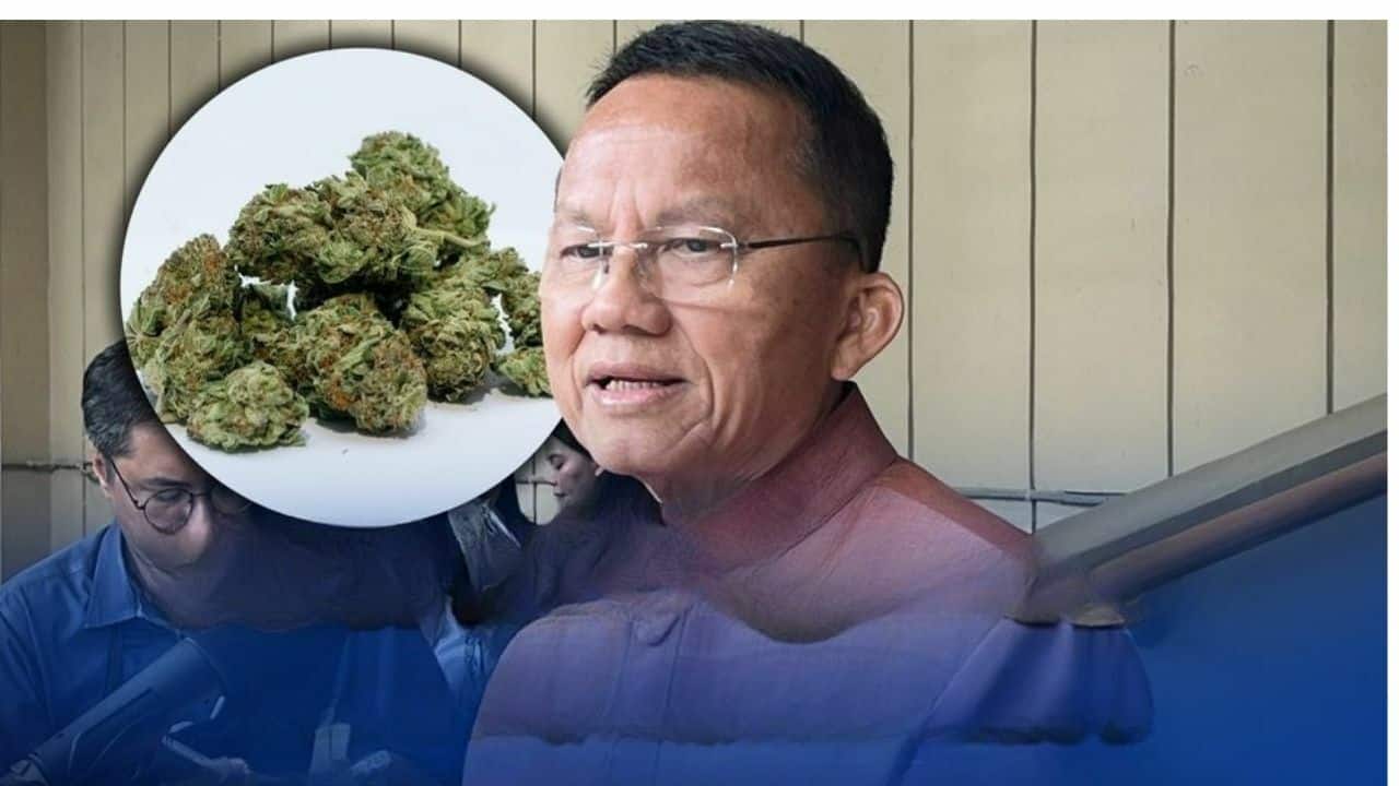High and dry: Health minister’s war on cannabis shops
