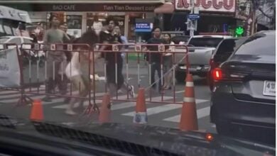 Drunken Turkish teenager gets slapped by Thai woman in Bangkok
