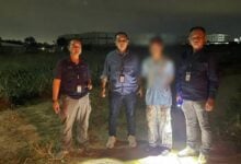 Husband hides in pineapple field after Sri Racha knife rampage