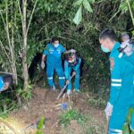 Body with tattooed arm found in Trang palm plantation | Thaiger