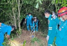 Body with tattooed arm found in Trang palm plantation