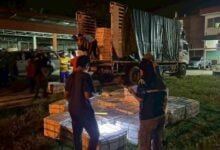 Illegal white sea bass worth 600,000 baht seized in Narathiwat