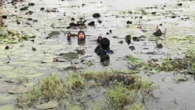 Factory worker vanishes after diving into pond to retrieve bird