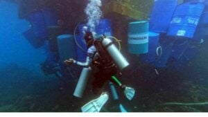 Cargo ship grounding in Mu Koh Surin causes coral reef damage