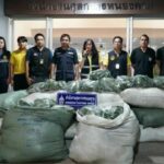 Laotian man caught smuggling 672kg of kratom in Nong Khai | Thaiger