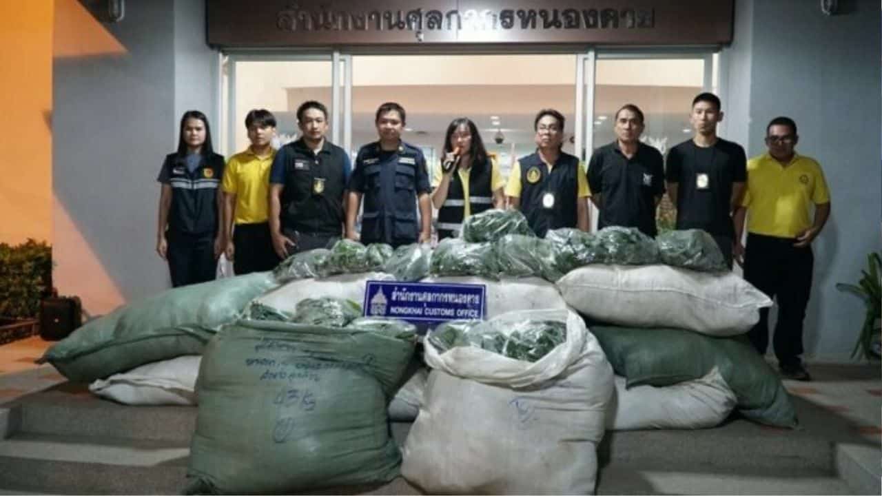 Laotian man caught smuggling 672kg of kratom in Nong Khai
