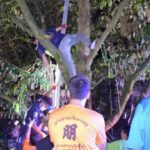 Orchard owner electrocuted by high-voltage wire in Chanthaburi | Thaiger