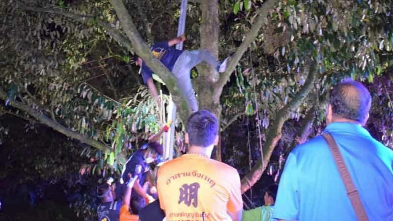 Orchard owner electrocuted by high-voltage wire in Chanthaburi