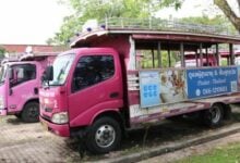 Phuket replaces iconic pink buses with new electric fleet