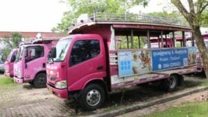 Phuket replaces iconic pink buses with new electric fleet