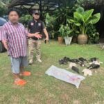 Udon Thani chicken dispute resolved after police intervention | Thaiger
