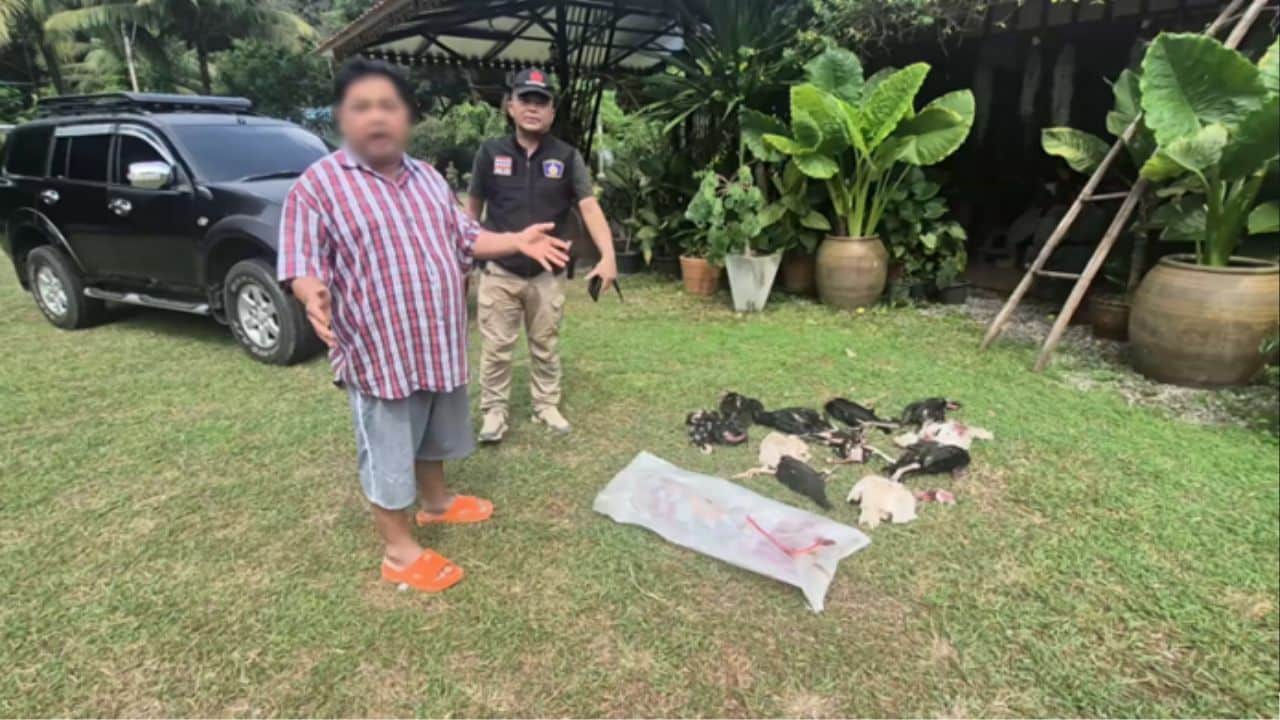 Udon Thani chicken dispute resolved after police intervention