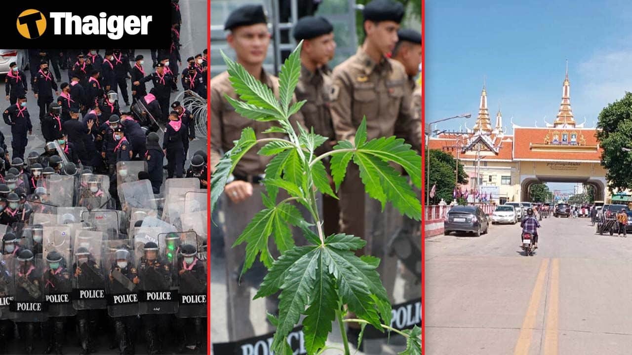 Thailand Video News | Cannabis advocates plan mass protest over recriminalisation push, South Korea bans dog meat—but what happens to 500,000 dogs?