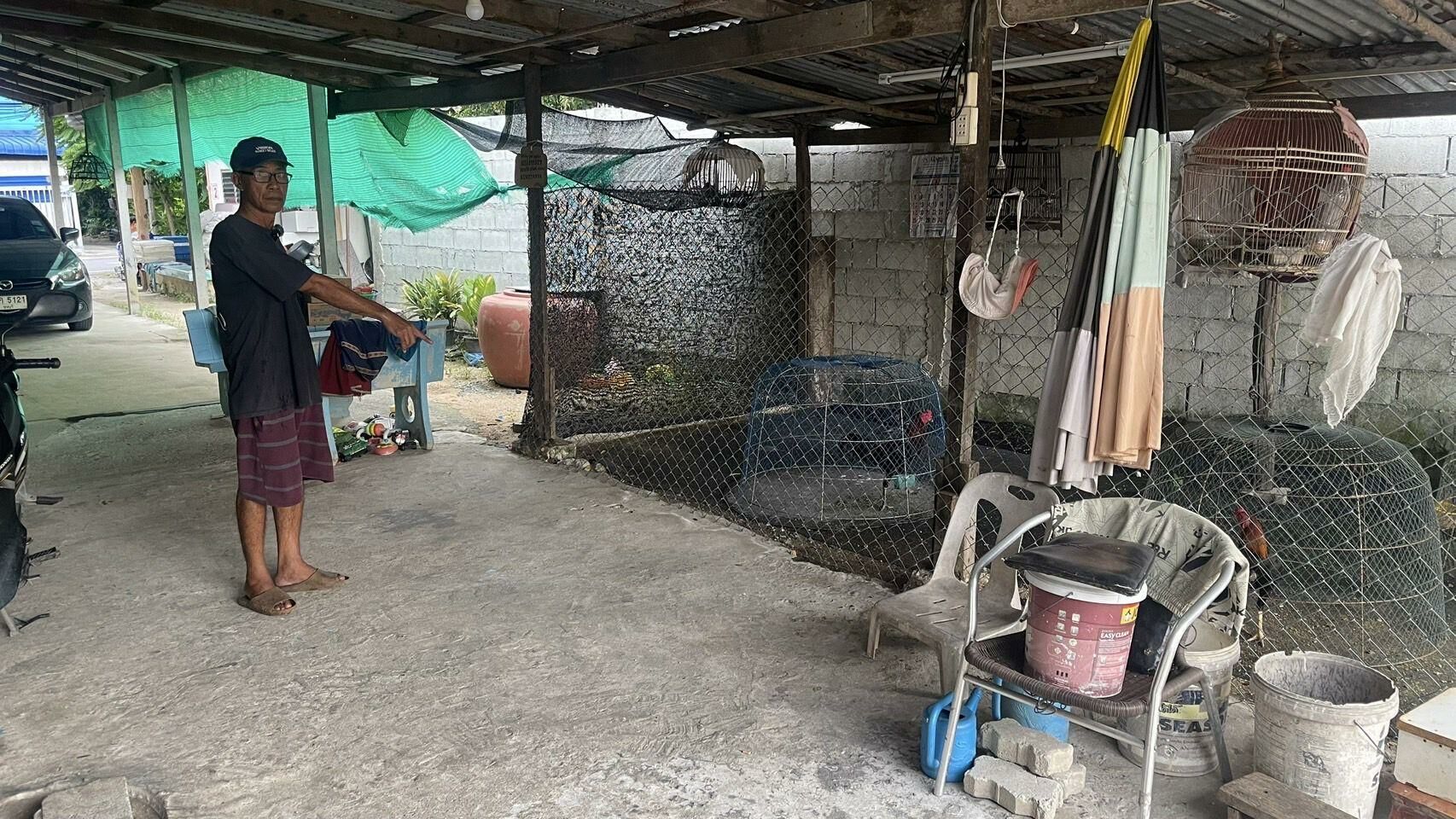 Fowl play: Pattaya bird bandits ruffle feathers in cocky heist | News by Thaiger