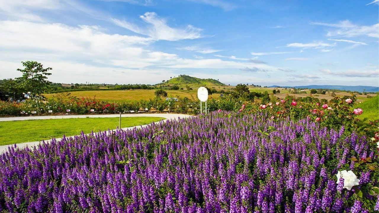 The Flora Park in Wang Nam Khiao