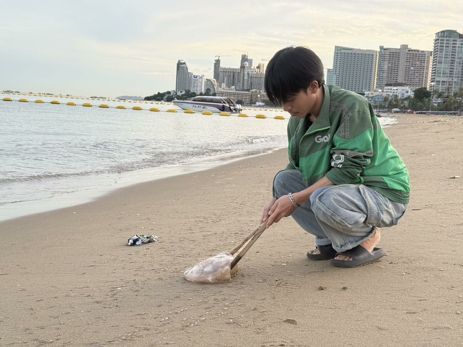 100,000 jellyfish stingers swarm Pattaya Beach in freak invasion | News by Thaiger
