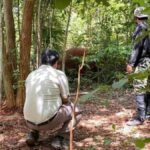 Wildlife officials to prosecute gunman of injured Khao Yai elephant | Thaiger