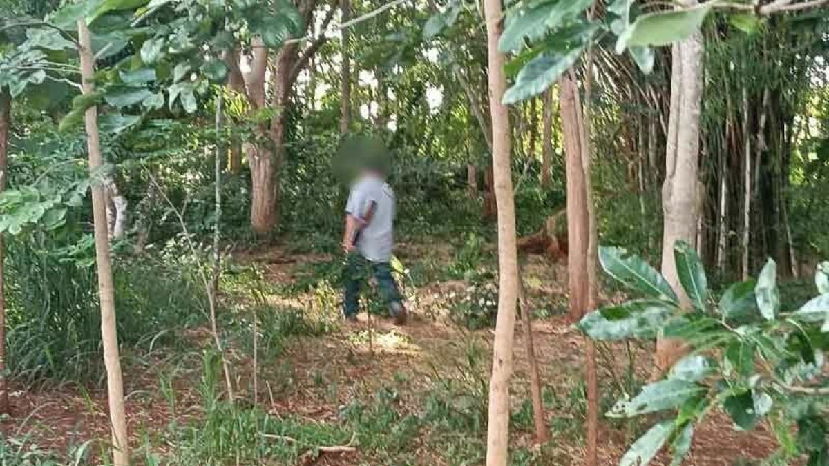 Wildlife officials to prosecute shooter of injured Khao Yai elephant | News by Thaiger
