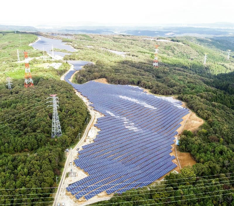 Here comes the sun: Solar panel plan puts minister in firing line | News by Thaiger