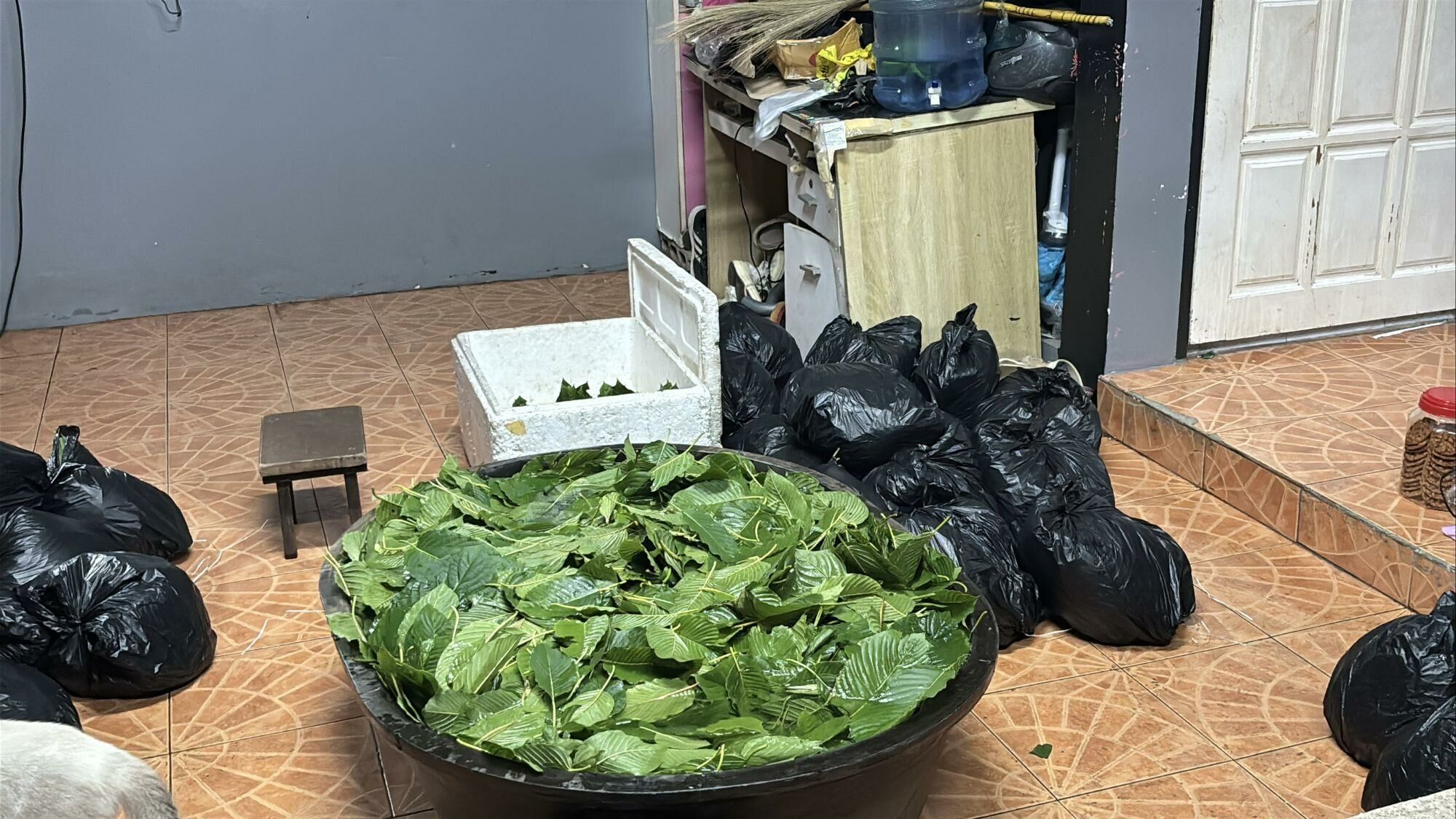 Pattaya police bottle kratom cocktail racket in midnight raids | News by Thaiger