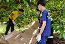 Unidentified man found hanged in Kamala, Phuket