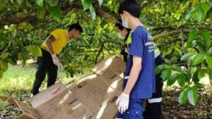 Unidentified man found hanged in Kamala, Phuket