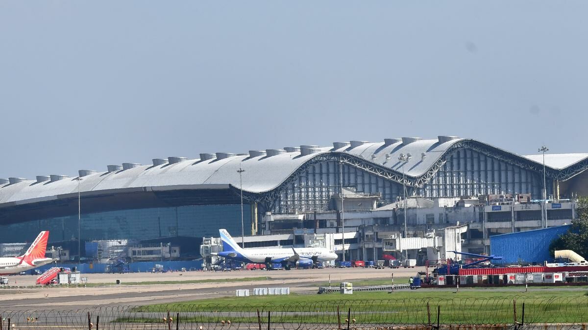 Bangkok gibbon smuggling busted at India's Chennai Airport | News by Thaiger