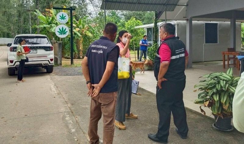 7 Phuket cannabis shops shut down in crackdown blitz | News by Thaiger