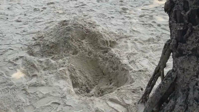 Andaman manhunt: Bomb suspects vanish, truck seized | News by Thaiger