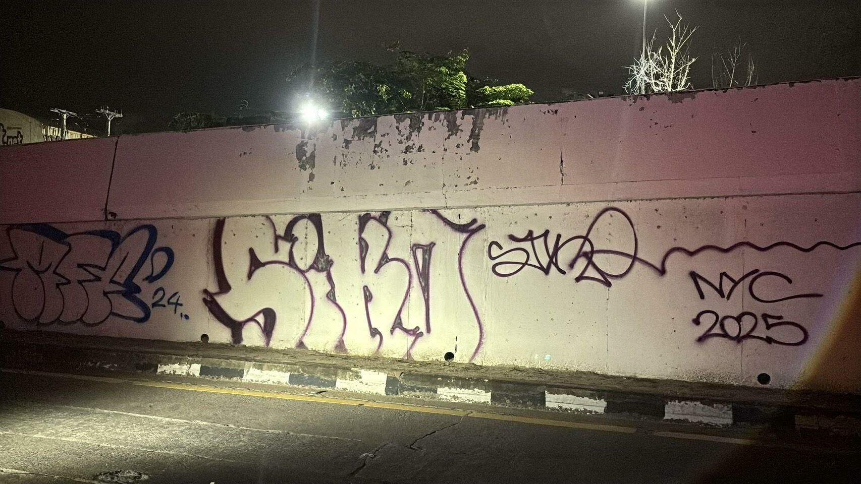 Russian teen busted for Pattaya pier graffiti | News by Thaiger