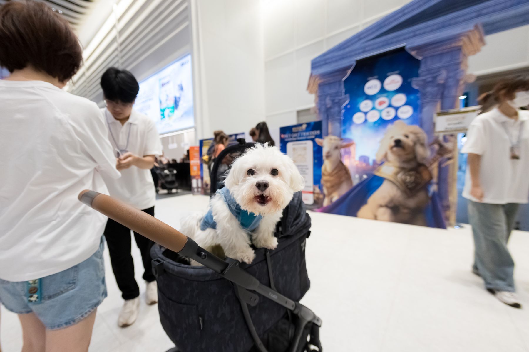 Pet paradise unleashed at Bangkok’s epic expo | News by Thaiger