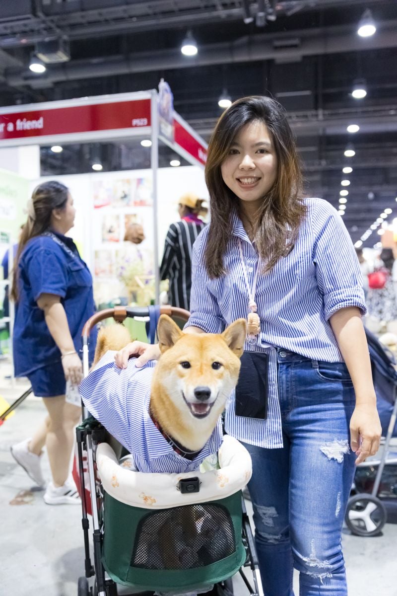 Pet paradise unleashed at Bangkok’s epic expo | News by Thaiger