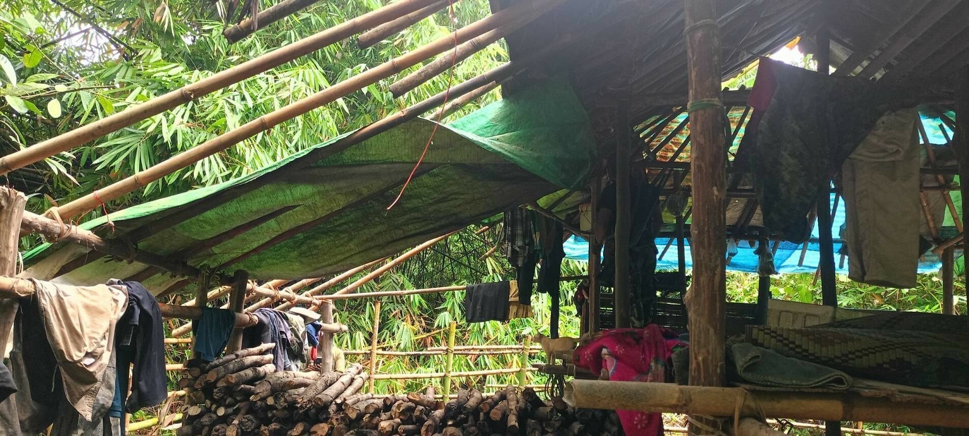 Elderly poacher busted in West Thailand national park raid | News by Thaiger