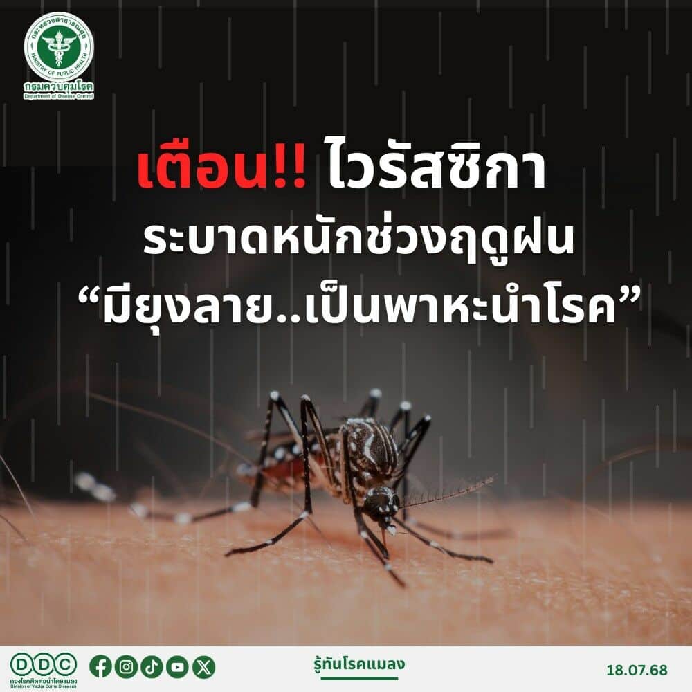 Zika fear grips Thailand amid rainy season spike | News by Thaiger