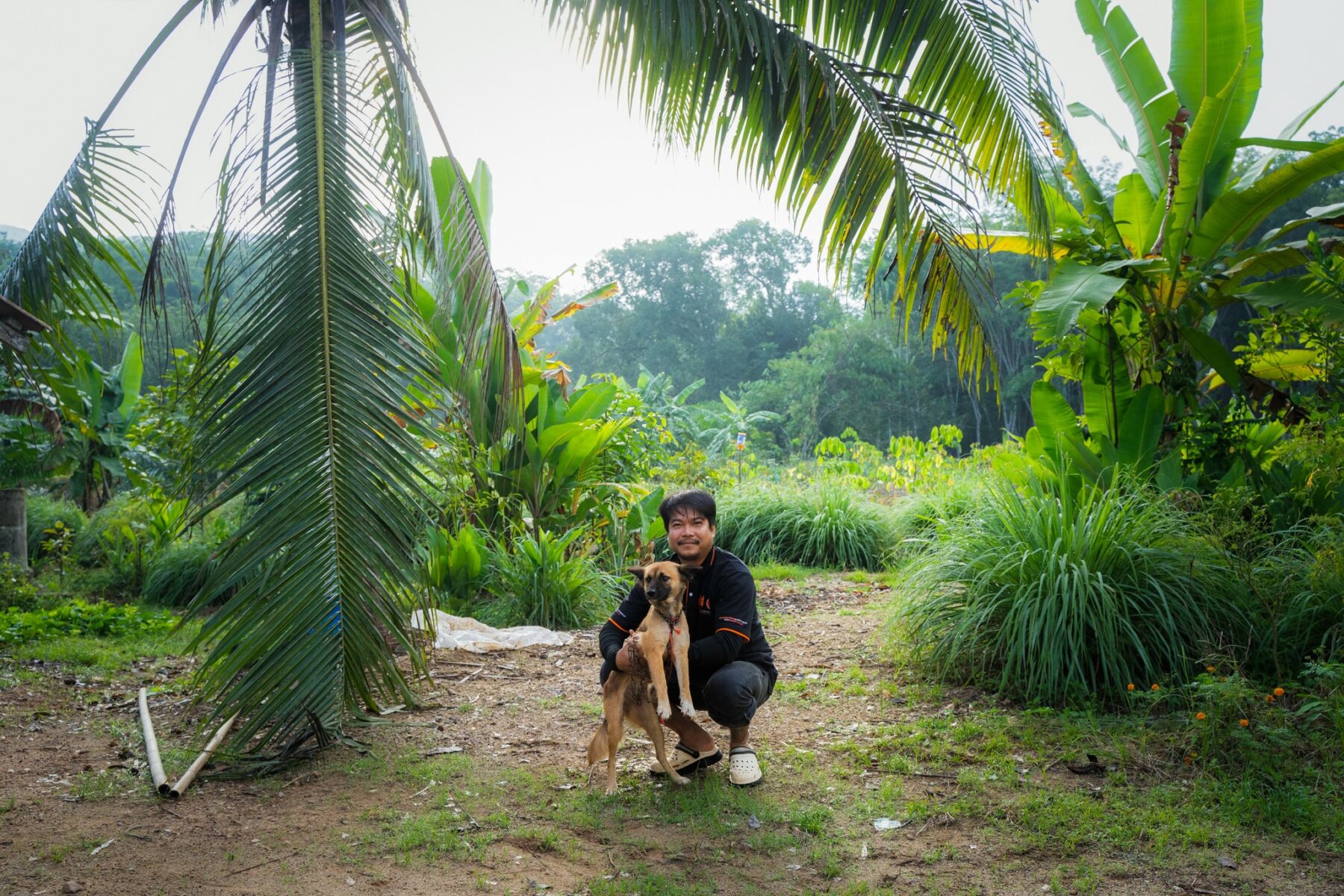 Phuket declared nearly rabies-free thanks to Soi Dog | News by Thaiger