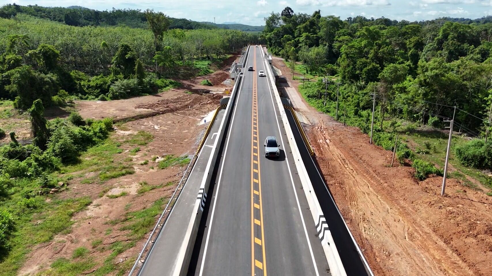 Thailand builds giant bridges to save wild elephants from roads | News by Thaiger