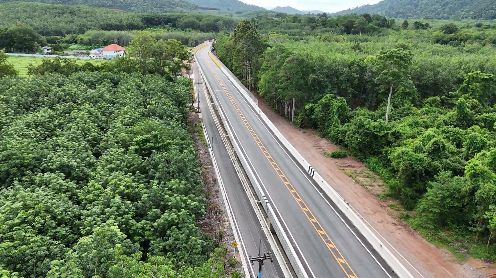 Thailand builds giant bridges to save wild elephants from roads | News by Thaiger