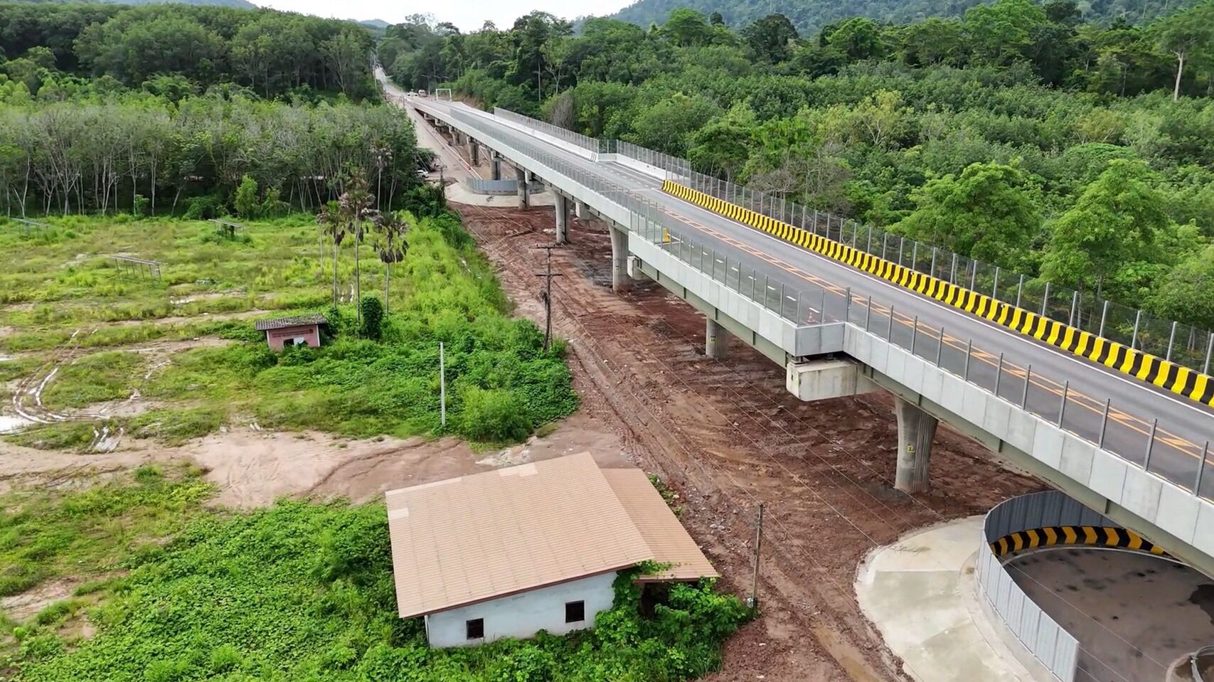 Thailand builds giant bridges to save wild elephants from roads | News by Thaiger