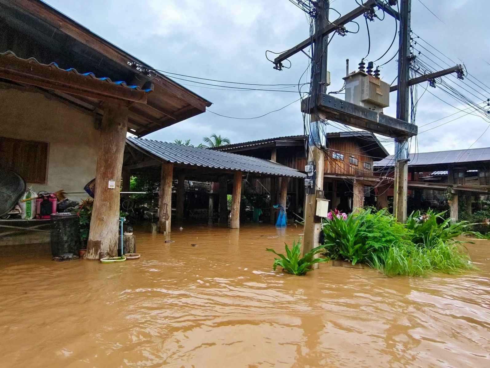 Agriculture minister visits flood-hit Nan and Sukhothai provinces | News by Thaiger