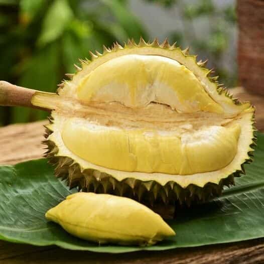Durian variety draws Malaysia, Singapore tourists to Yala's Betong | News by Thaiger