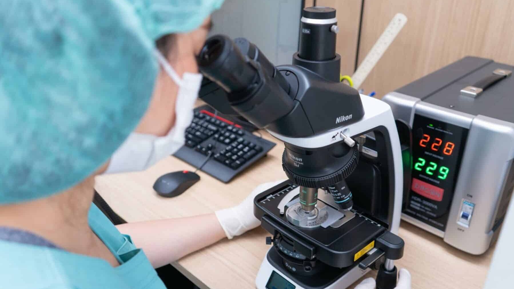 The IVF process at MedPark Hospital Bangkok