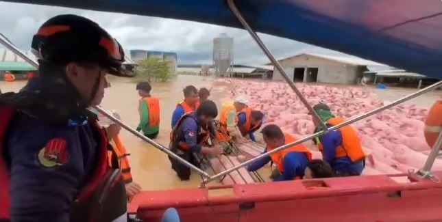 Flooded Chiang Rai farm sparks dramatic pig rescue (video) | News by Thaiger