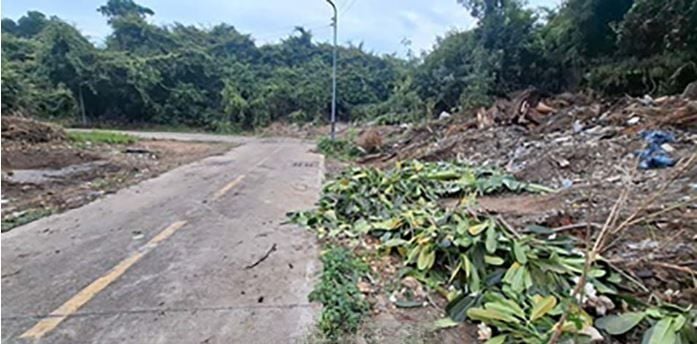 CCTV busts trash dumpers in Pattaya green zone sting | News by Thaiger