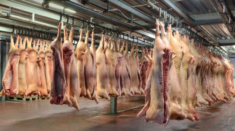 Farm fury erupts as US trade demands threaten Thai agriculture | News by Thaiger
