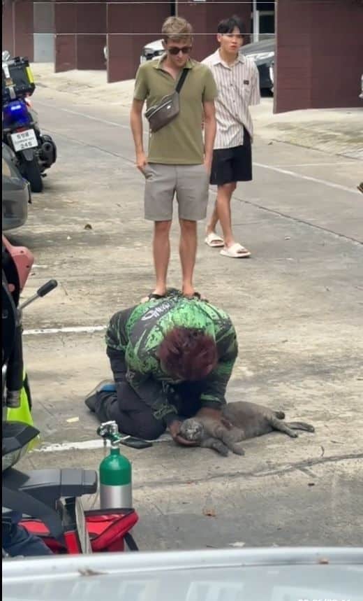 Paws of glory: Hero rider saves cat from blaze in Bangkok condo | News by Thaiger