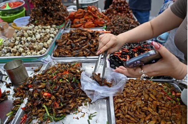 Ant-agonising: Korea Michelin eatery in a stew over Thai insects | News by Thaiger