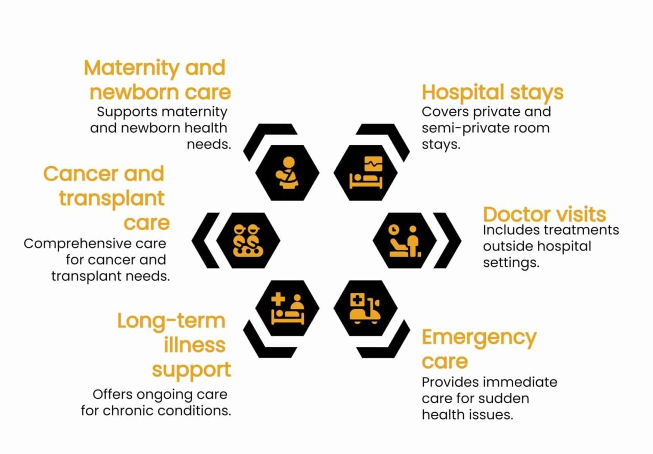 Visual about the comprehensive family coverage